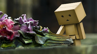 Sad Danbo Wallpaper