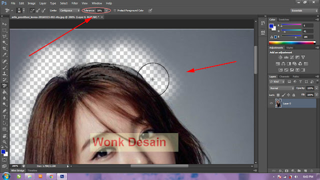 Cara Mudah Menghilangkan Background Di Photoshop