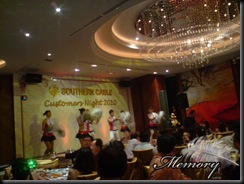 DSC02917 copy