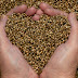 Hemp Seeds Health Benefits