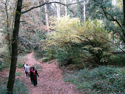 Torrent de Can Rovira