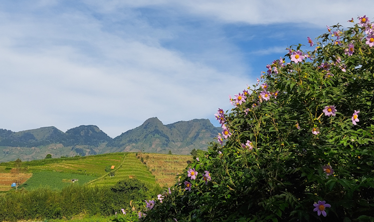 Cerita Open Trip ke Gunung Prau