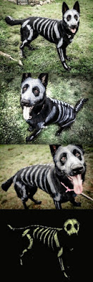 20 adorables disfraces de Halloween para perros