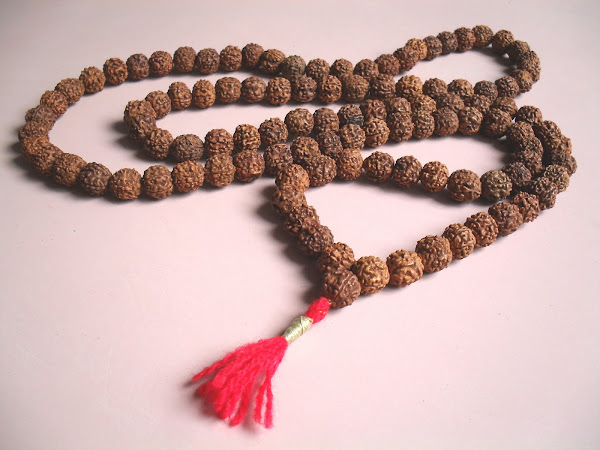 Japa Mala de 108 cuentas de Rudraksha.