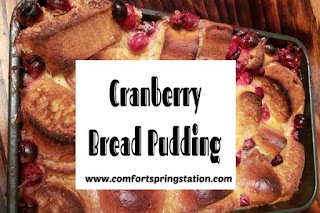 Cranberry Bread Pudding, one of the featured posts this week @ Scratch Made Food! & Homemade Household.