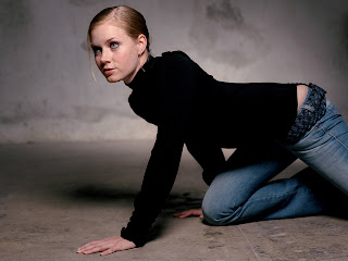 Free non-watermarked wallpapers of Amy Adams at Fullwalls.blogspot.com