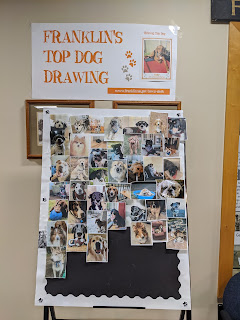 Top dog photos as of March 2, 2020