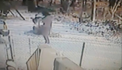EVIL WOMEN STARTS KICKING SNOW IN STRAY CATS FACE, THEN SHE GETS THE EXACTLY WHAT SHE DESERVED…