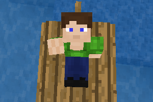 Character Animation minetest