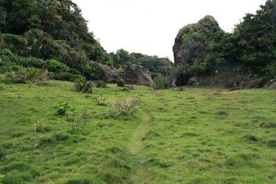 Ujung Kulon National Park, Java  Rhino, Java Rhino conservation, West Java