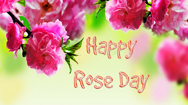 Rose-Day-wallpaper-for-free