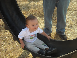 Weeeeeeeeeeeeeeeeeeeeeeee!  I'm swingin' in a tire!