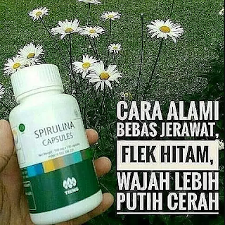 <br/><br/>Masker Spirulina Murah<br/><br/><br/>