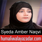 https://www.humaliwalayazadar.com/2019/09/syeda-amber-naqvi-nohay-2020.html