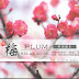 Various Artists - Relax Music - Plum [APE]