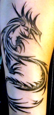 Tribal Dragon Tattoos