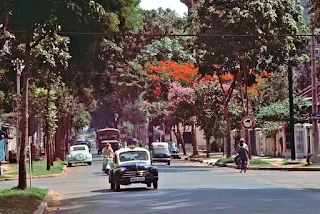 Saigon 1965 – Photo by William S. Fabianic. Đây là đường Phan Đình Phùng (nay là đường Nguyễn Đình Chiểu) lúc còn cho lưu thông 2 chiều.