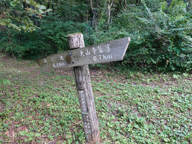 大山古道入り口の案内板