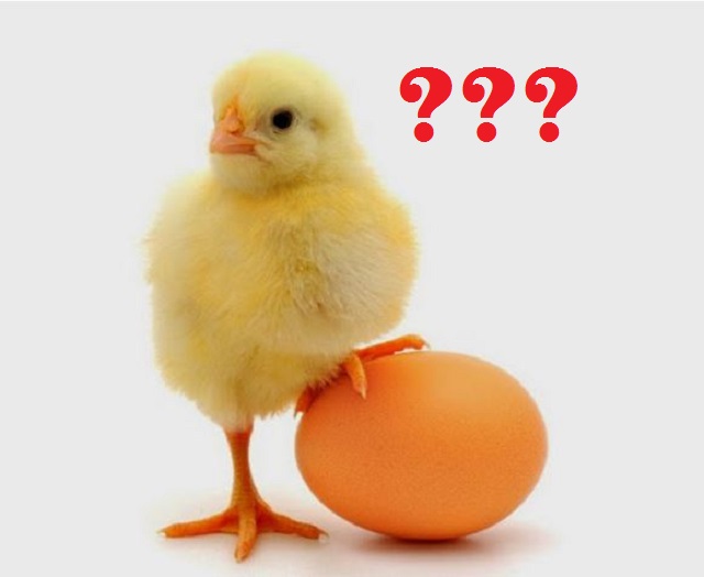 Coba Tebak !!! Lebih Dulu Mana, Ayam Atau Telur? Ternyata Seperti Ini Penjelasan Dari Al Qur'an