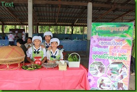 โรงเรียนบ้านหนองตาไก้ตลาดหนองแก50วิชาการ ระดับศูนย์ 2554