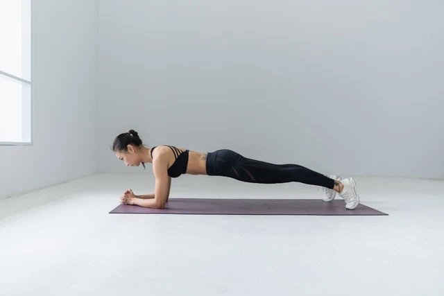 plank-back-exercise