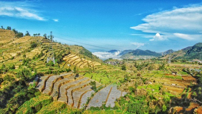 Kumpulan Soal Geografi Kelas X Pedosfer