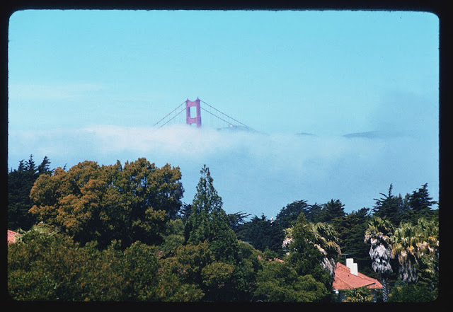 Fotografías antiguas de San Francisco a color