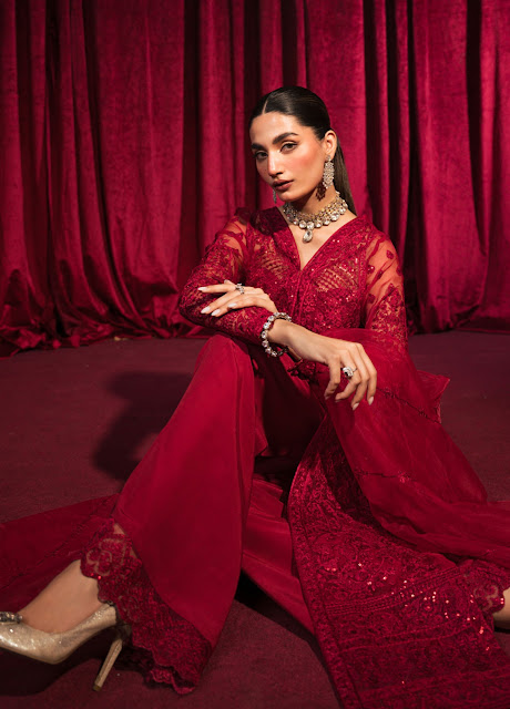 New Pakistani Wedding Dresses | Roshnai by Shazme Wedding Collection