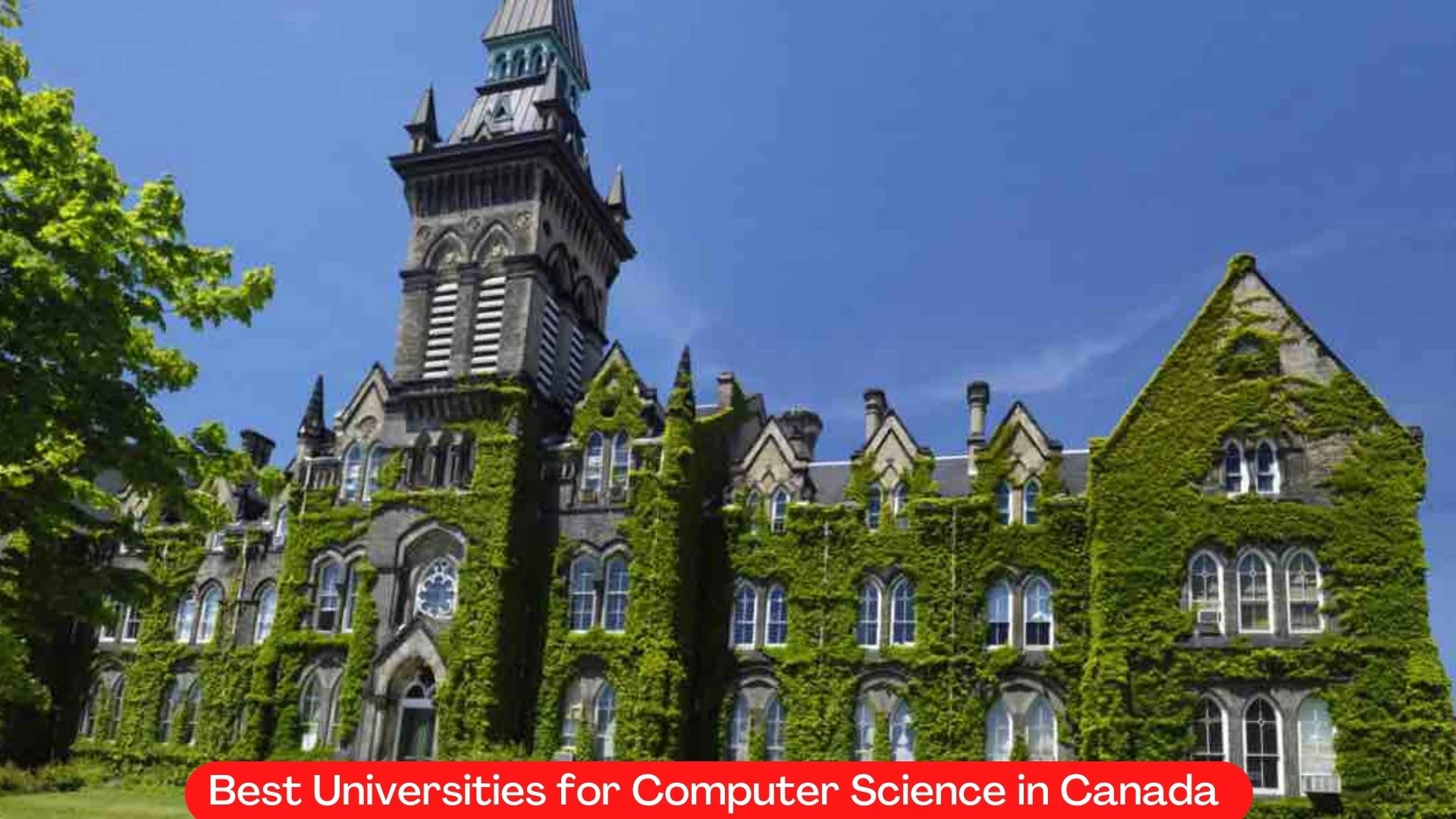 Best Universities for Computer Science in Canada 2023