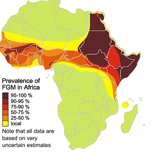 Klitoris kesiminin Afrika'daki tahminî uygulanma alanı ve oranları haritası