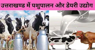 उत्तराखण्ड में डेयरी उद्योग