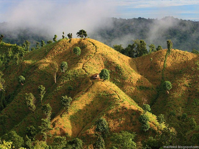 stunning natgeo pic2