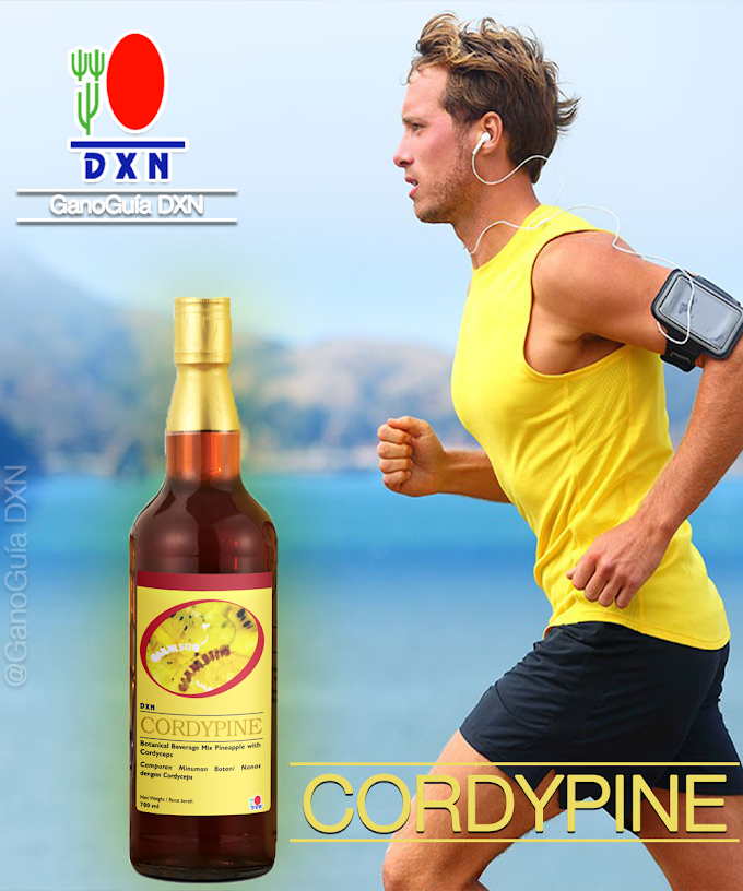 CORDYPINE DXN - Excelente combinación, Cordyceps + Jugo de Piña.