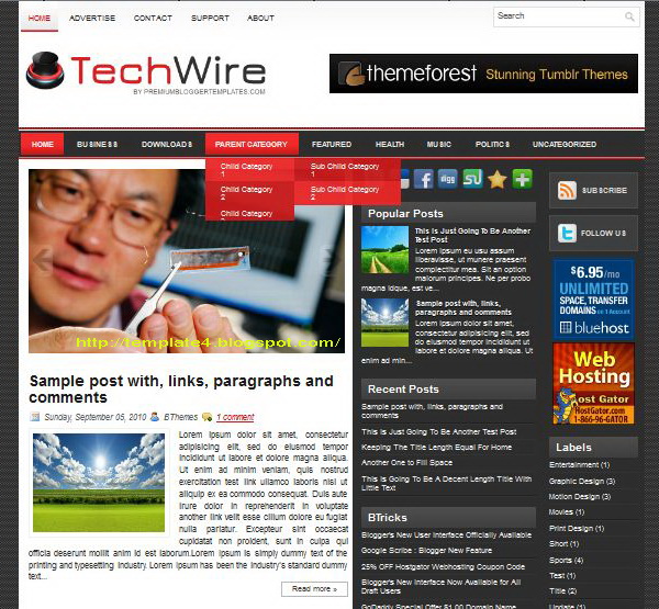 TechWire Blogger Template