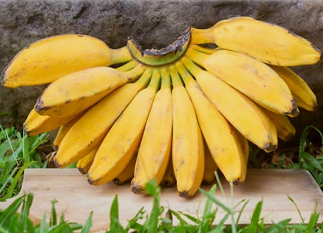 Jangan Digoreng: Buah Pisang agar Nutrisi Tetap 