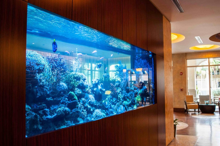 Design Rumah Idaman 10 Top Design Aquarium Dinding 