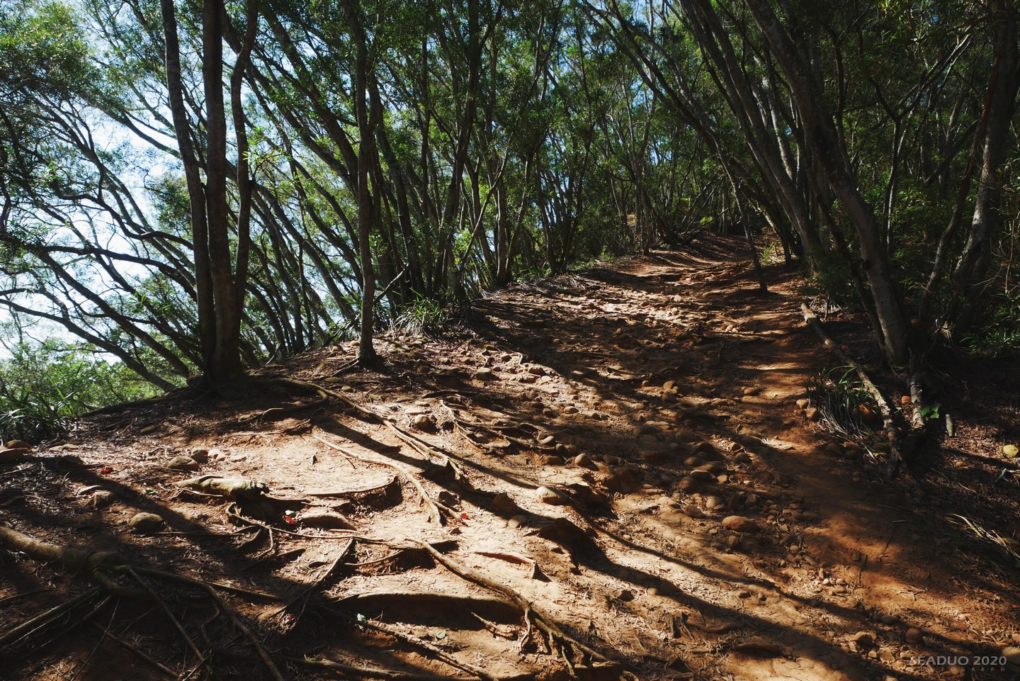 苗栗火炎山登山步道