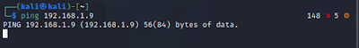 Ping Kali linux Terminal