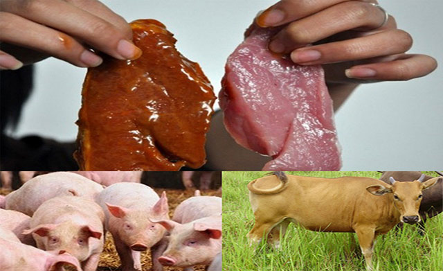 Resep Kesehatan dari Bunda: Begini Cara Membedakan Daging Sapi dan Babi