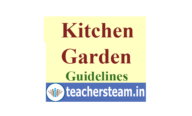 Kitchen Garden development in schools - Guidelines issued