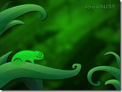 openSUSE_wallpaper_by_dakki000