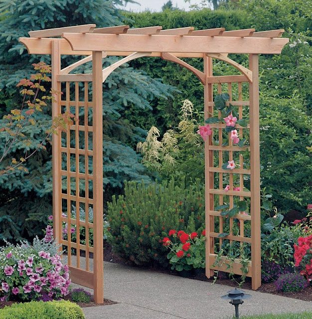 Arbor Photos1