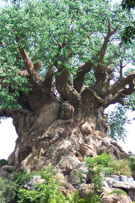 The Tree of Life at Disneys Animal Kingdom 3