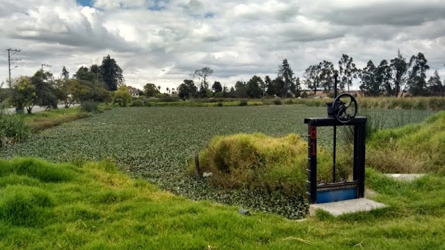 Millonaria sanción deberán pagar dos empresas por infracciones ambientales en Funza