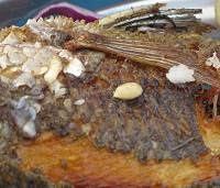 Grilled fish from Galilee