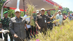 Bupati Tjetjep: Gabah Kering Giling  Kabupaten Cianjur Surplus.