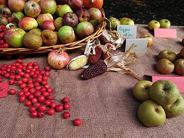 Antiche varietà di frutta e verdura ad una fiera floreale. Foto di Andrea Mangoni.