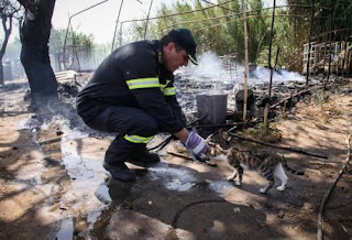 Ήταν η φωτιά της Μανωλάδας έργο ρατσιστών εμπρηστών; Περίεργο τηλεφώνημα σε ιστοσελίδα