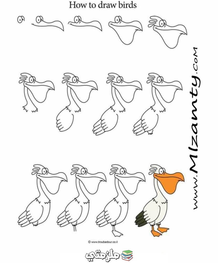 كيفية تعلم رسم الطيور للاطفال - ملزمتي