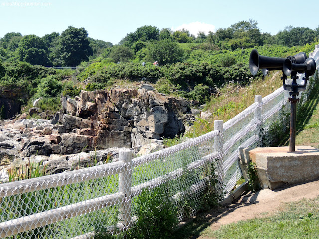 Senderos por los Acantilados de Fort Williams Park en Cape Elizabeth